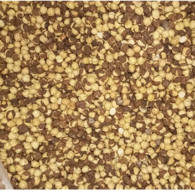 20260226 093453 0000